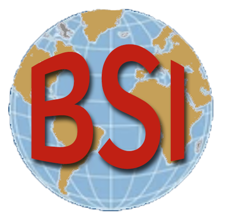 Bristol Services International